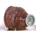 Termometru pentru carne