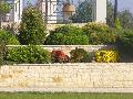 Piatra decorativa yellowl diverse placari