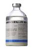Amoxicilina