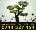 Madicina Naturista/ Medic Naturist