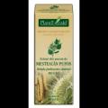 Extract din amenti de mesteacan pufos BETULA PUBESCENS AMENT