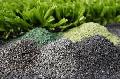 Granule cauciuc