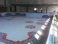 constructii piscine