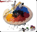 Aplicatii softwre - Web design
