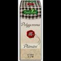Polygemma nr 16 - Plamani