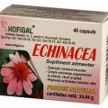Echinacea capsule Hofigal