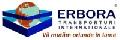 Mutari internationale de efecte personale