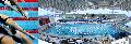 Piscine olimpice