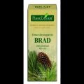 Extract din muguri de brad 50 ml ABIES PECT