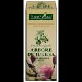 Arbore de Iudeea CERCIS SILIQUASTRUM MG D1 50ml