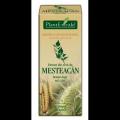 Extract din seva de mesteacan Betula linfa MG D1 50ml