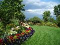 gazon brasov