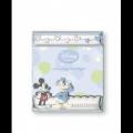RAMA FOTO MICKEY SI DONALD -Licenta Disney