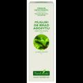 Extract concentrat din muguri de brad argintiu Abies pectina