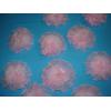 Accesorii imbracaminte flori din organza - Accesorii imbraca