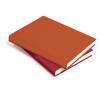 Agenda datata zilnic Basic 2013 360 pagini 352 8 atlas