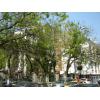 Apartament de inchiriat 3 camere - Pita Victoriei