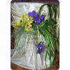 Aranjament floral vanda si orhidee imperiala - Aranjamente F