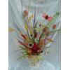 Aranjament plante uscate CR03