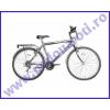 Bicicleta K 2613 LIFE JOY