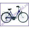 Bicicleta TREKKING 2832