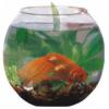 Bol Sticla 5 5 L