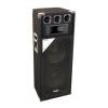 Boxe audio Bass Reflex cu 3 cai 600W