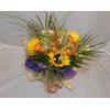 Buchet flori naturale heliantus ramunculus trahelium peniset