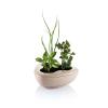 Cadou Gradina aromatica Eco