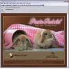 Campanii de newsletter - Grafica