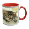 Cana personalizata colorata int ext - Cani