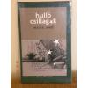 Carte de poezii Hulla Csillagok
