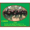 Cires Van