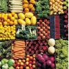 Consultanta agricultura ecologica
