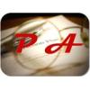Consultanta pentru Investitii - Consultanta It
