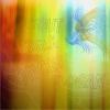 Creatie grafica - Grafica