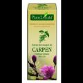 Extract din muguri de carpen 50 ml CARPINUS BETULUS