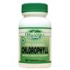 Detoxifiant Clorofila pura sangele verde sangele planetei