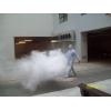 Dezinsectie - Insecticide
