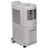 Dezumidificator pentru uz profesional 60 l zi PLD60RB - Dezu