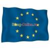 Drapele Uniunea Europeana pentru interior protocol