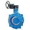 Robinete industriale