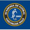 Emblema brodata Academia Gheorghe Hagi  - Broderie