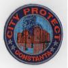 Emblema broderie pentru firma de paza si protectie  - Brode