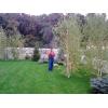 Fertilizare peluza de gazon - Terenuri De Sport