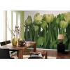 Fototapet decorativ floral Komar Tulips 8-900 - Fototapet