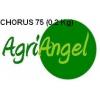Fungicid Chrus 75 0 2 kg  - Fungicide