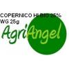 Fungicid Copernico Hi Bio 25 WG 25 grame - Fungicide