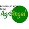 Fungicid Folpan 80 Wdg 5 kg  - Fungicide