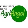 Fungicid Kumulus DF 25 Kg  - Fungicide